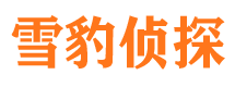 天台私家侦探公司